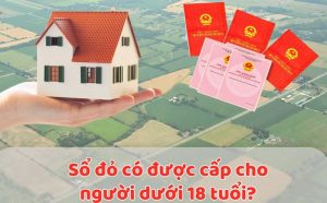 Người dưới 18 tuổi có được sở hữu nhà ở không? (Hình từ Internet)