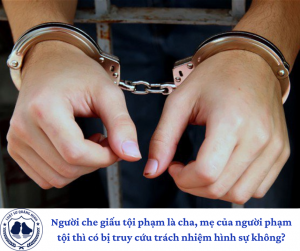 Người che giấu tội phạm là cha, mẹ của người phạm tội thì có bị truy cứu trách nhiệm hình sự không?