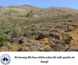 Bỏ hoang đất bao nhiêu năm thì mất quyền sử dụng?