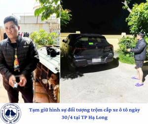 Tạm giữ hình sự đối tượng trộm cắp xe ô tô ngày 30/4 tại TP Hạ Long