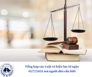 Tổng hợp các Luật có hiệu lực từ ngày 01/7/2025 mà người dân cần biết