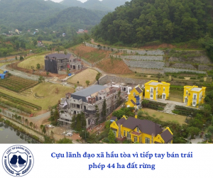 Cựu lãnh đạo xã hầu tòa vì tiếp tay bán trái phép 44 ha đất rừng