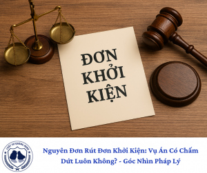 Nguyên Đơn Rút Đơn Khởi Kiện: Vụ Án Có Chấm Dứt Luôn Không? - Góc Nhìn Pháp Lý