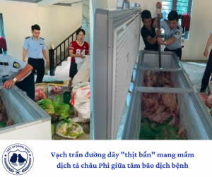 Vạch trần đường dây "thịt bẩn" mang mầm dịch tả châu Phi giữa tâm bão dịch bệnh