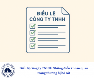 Điều lệ công ty TNHH: Những điều khoản quan trọng thường bị bỏ sót