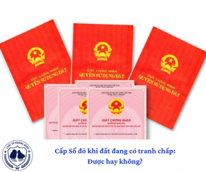 Cấp Sổ đỏ khi đất đang có tranh chấp: Được hay không?