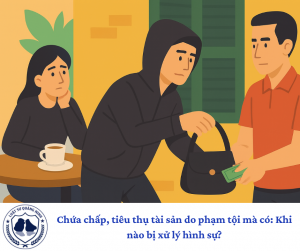 Chứa chấp, tiêu thụ tài sản do phạm tội mà có: Khi nào bị xử lý hình sự?