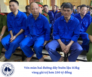 Vén màn hai đường dây buôn lậu 113kg vàng giá trị hơn 250 tỷ đồng