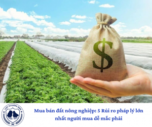 Mua bán đất nông nghiệp: 5 Rủi ro pháp lý lớn nhất người mua dễ mắc phải