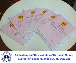 Sổ Đỏ Đứng Tên 'Hộ Gia Đình' và 'Cá Nhân': Những Rắc Rối Chết Người Khi Mua Bán, Chia Thừa Kế