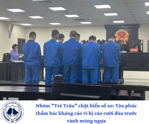 Nhóm "Trẻ Trâu" chặt biển số xe: Tòa phúc thẩm bác kháng cáo vì bị cáo cười đùa trước vành móng ngựa